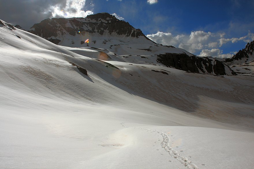 Snowshoe Tracks at 12,000 feet under Gilpin Peak