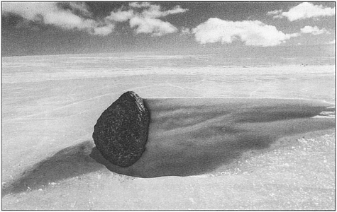 Antarctic meteorite