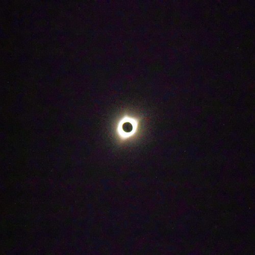 Totality / Nikon
 Coolpix S411 camera